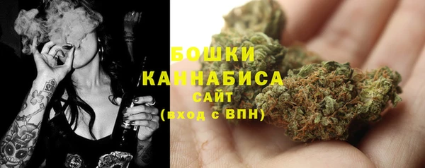 гидра Верея