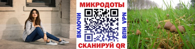 Псилоцибиновые грибы ЛСД  Ростов 